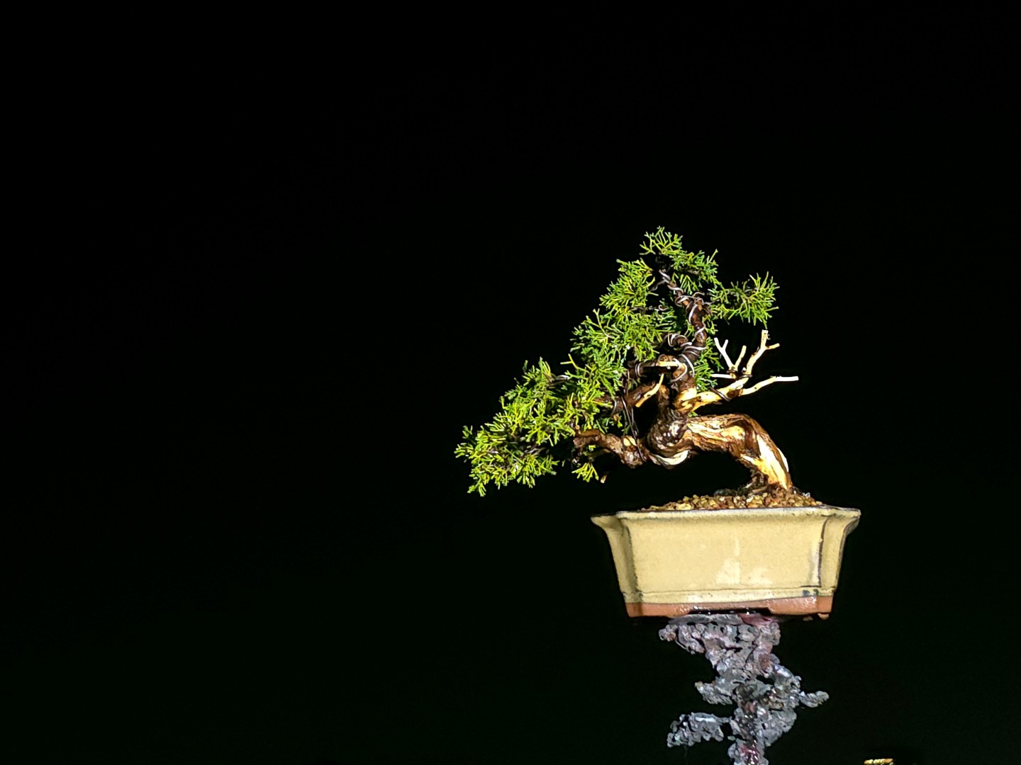 Post image 12