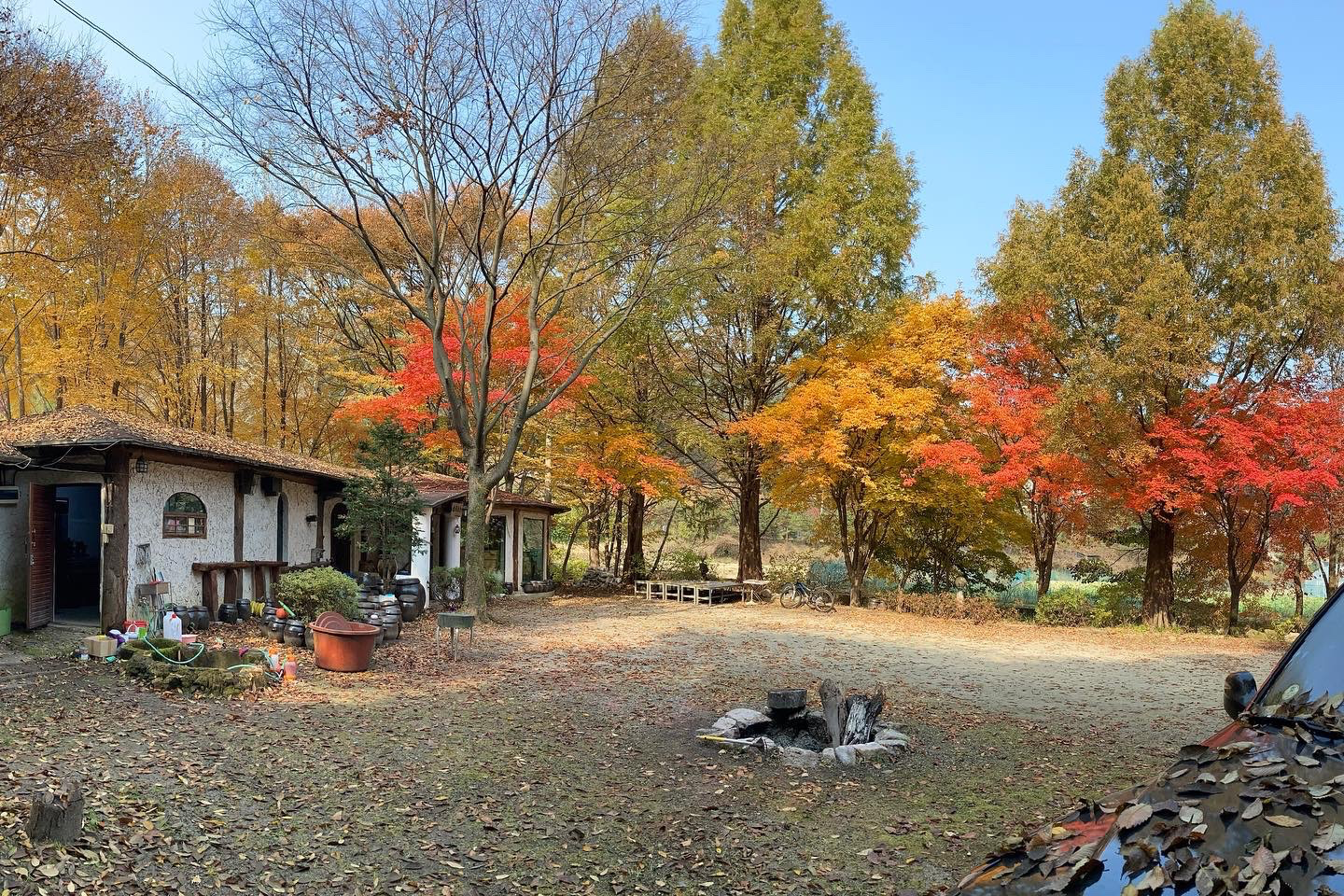 Post image 15