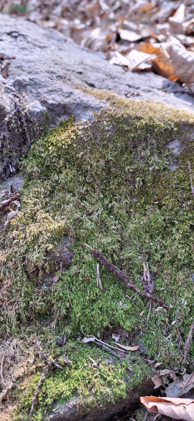 Post image 4