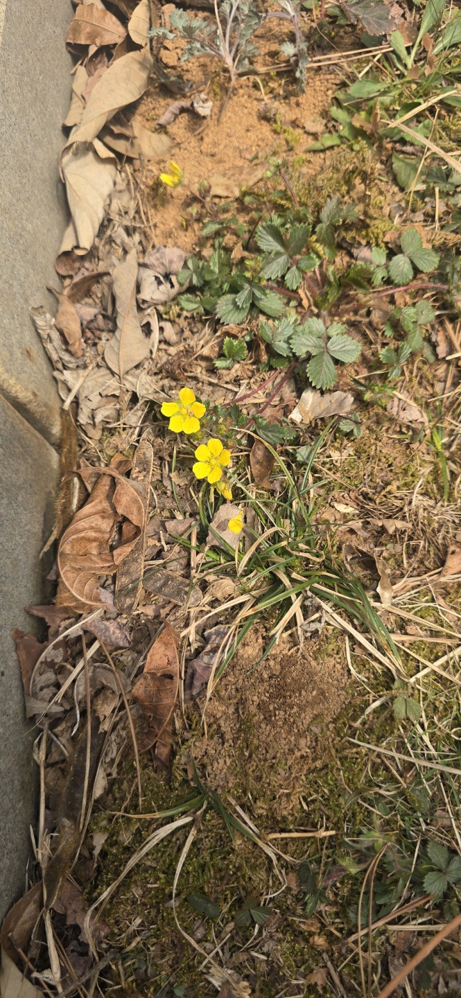 Post image 14