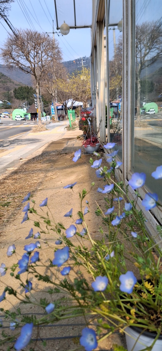 Post image 5