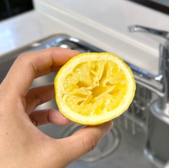 레몬이 이렇게도 쓰이네요!