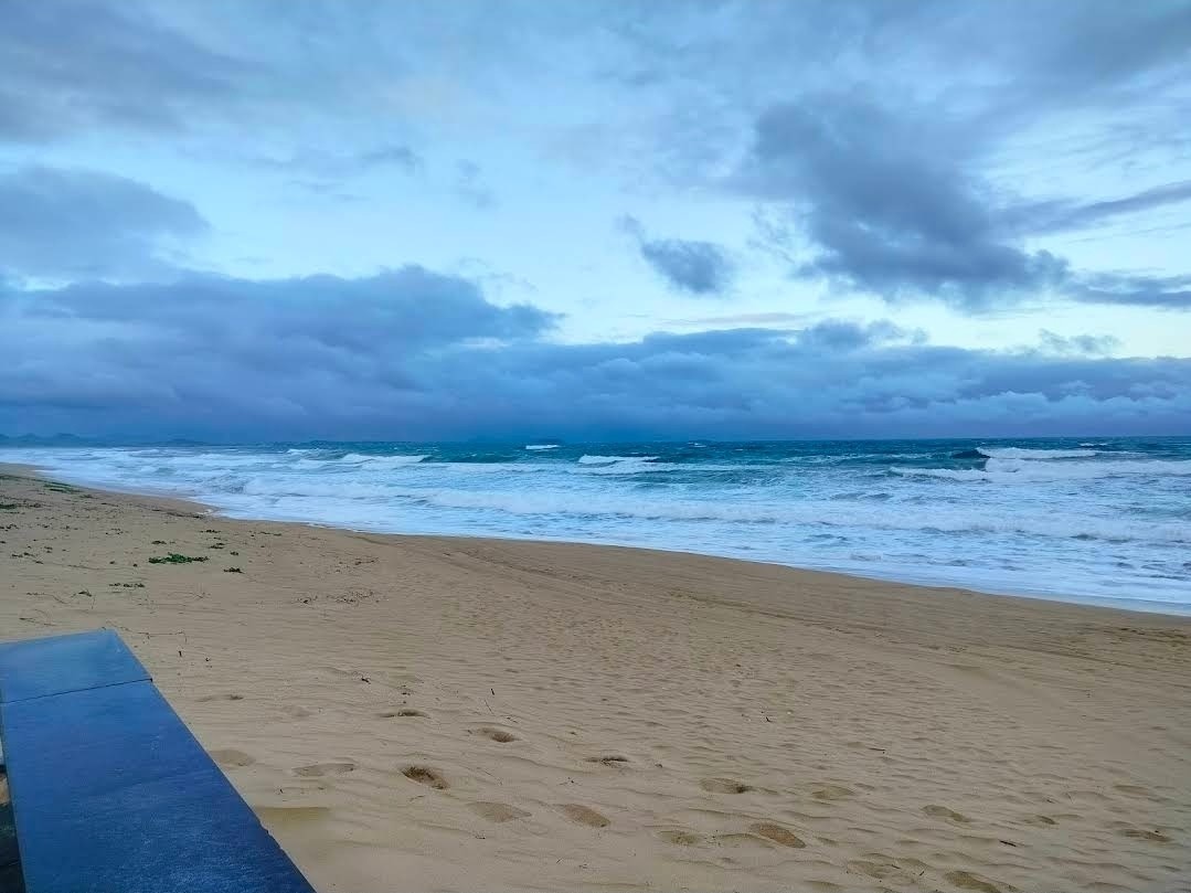 전쟁으로 인해 항공기 취소