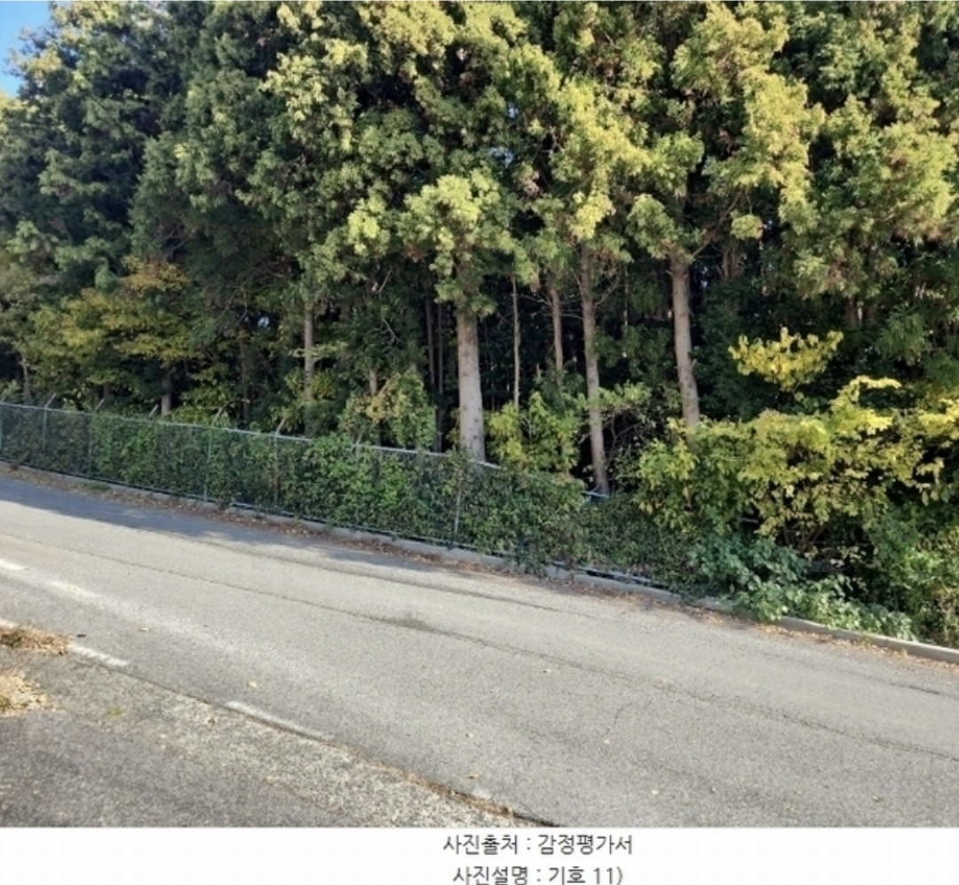 Post image 5