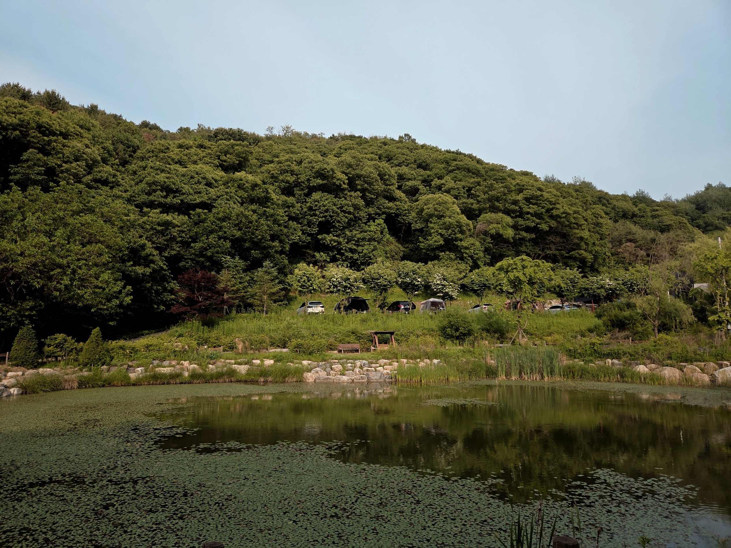 Post image 5