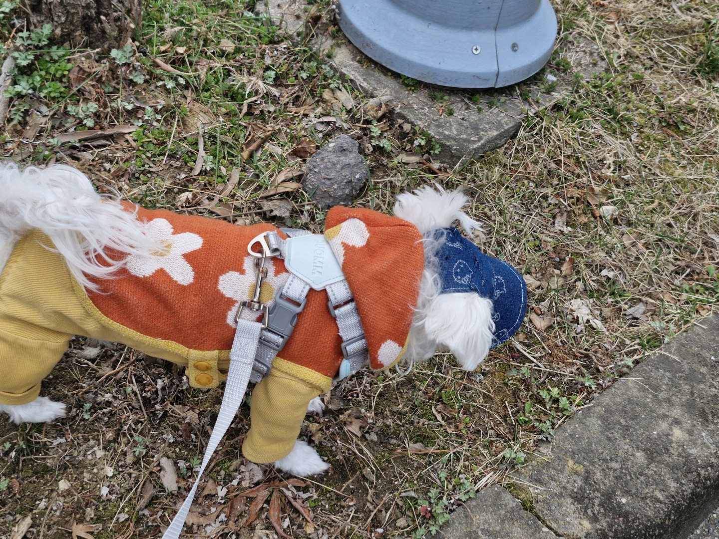 Post image 3