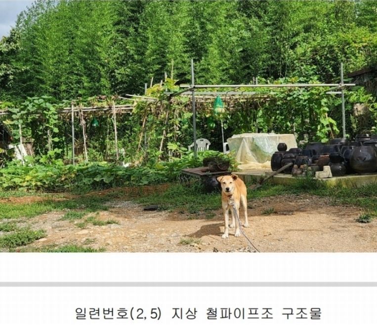 Post image 12