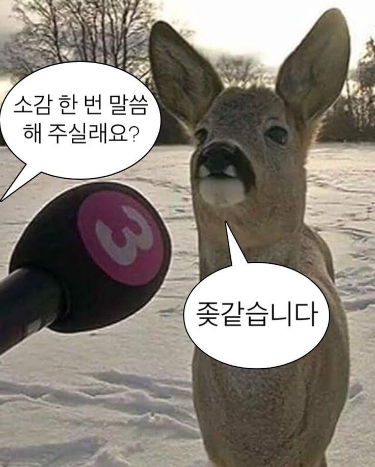 숙제
