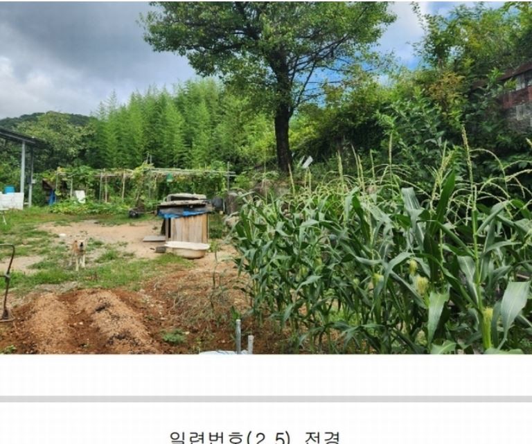 Post image 7