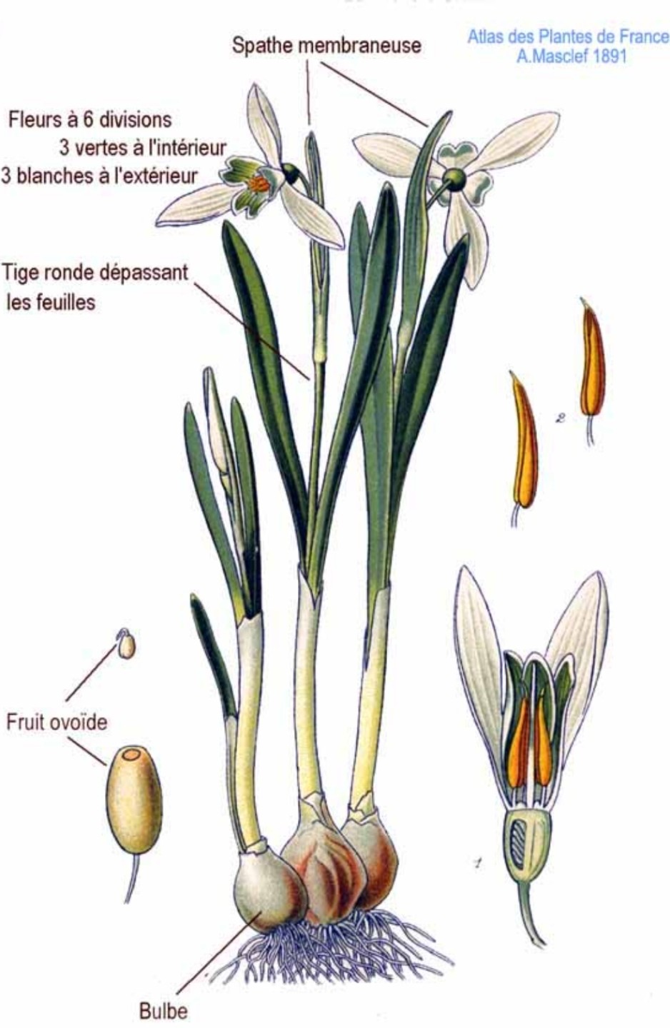 Post image 19