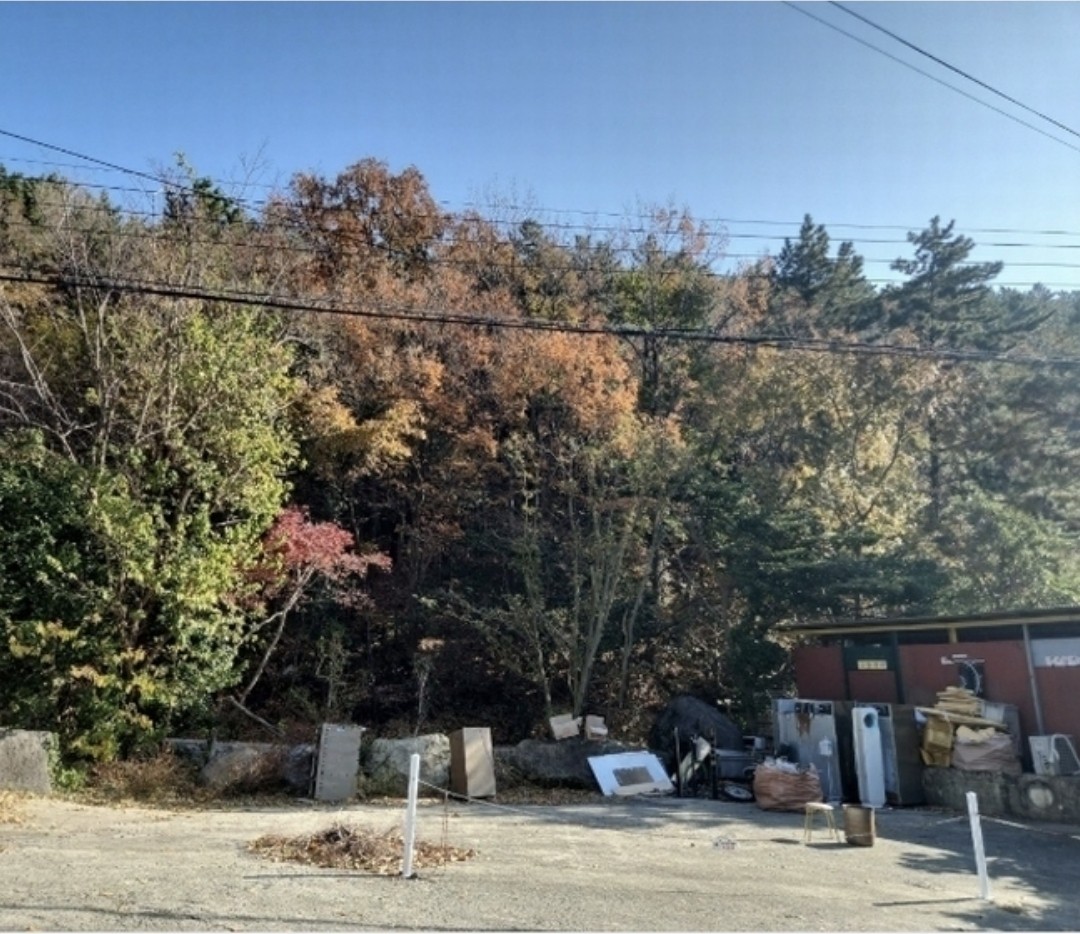 Post image 6