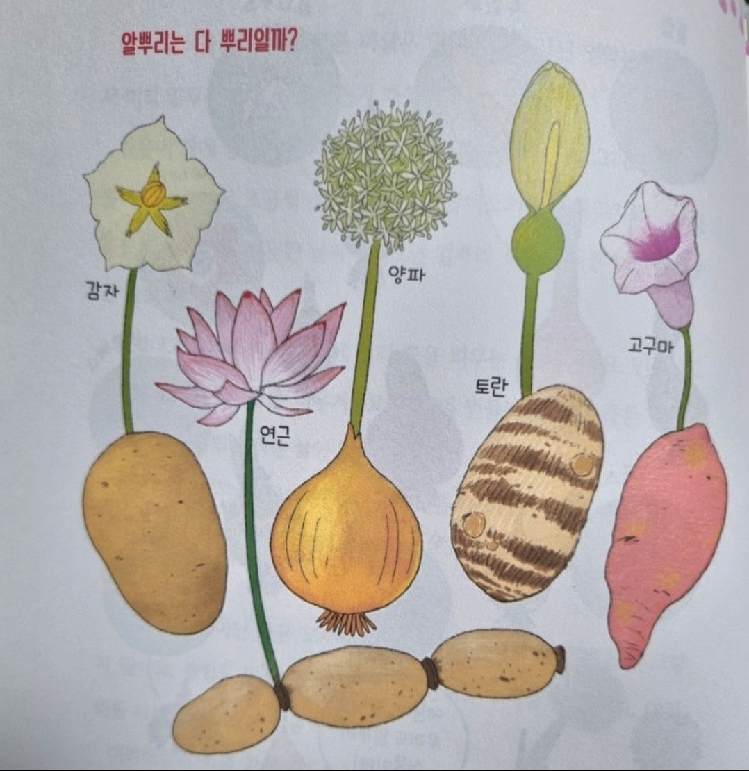 Post image 41