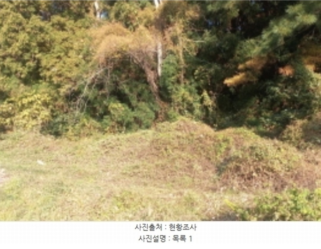 Post image 7