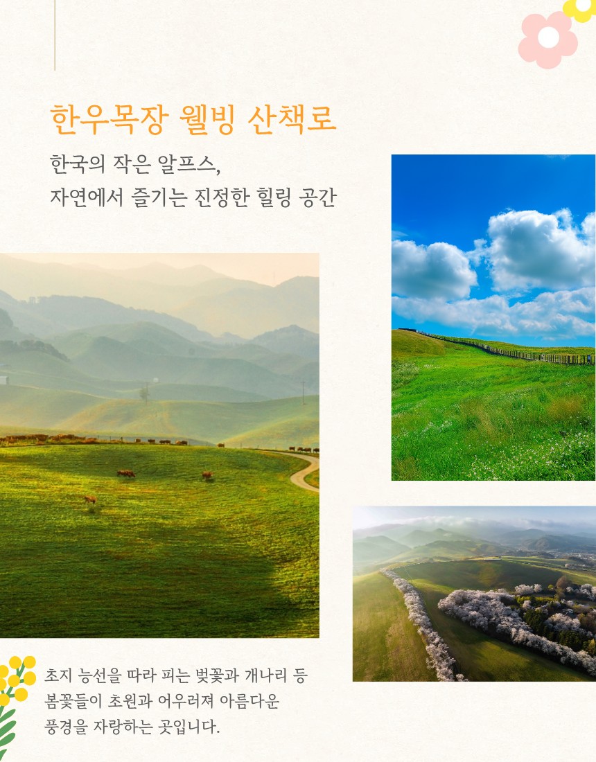 Post image 39
