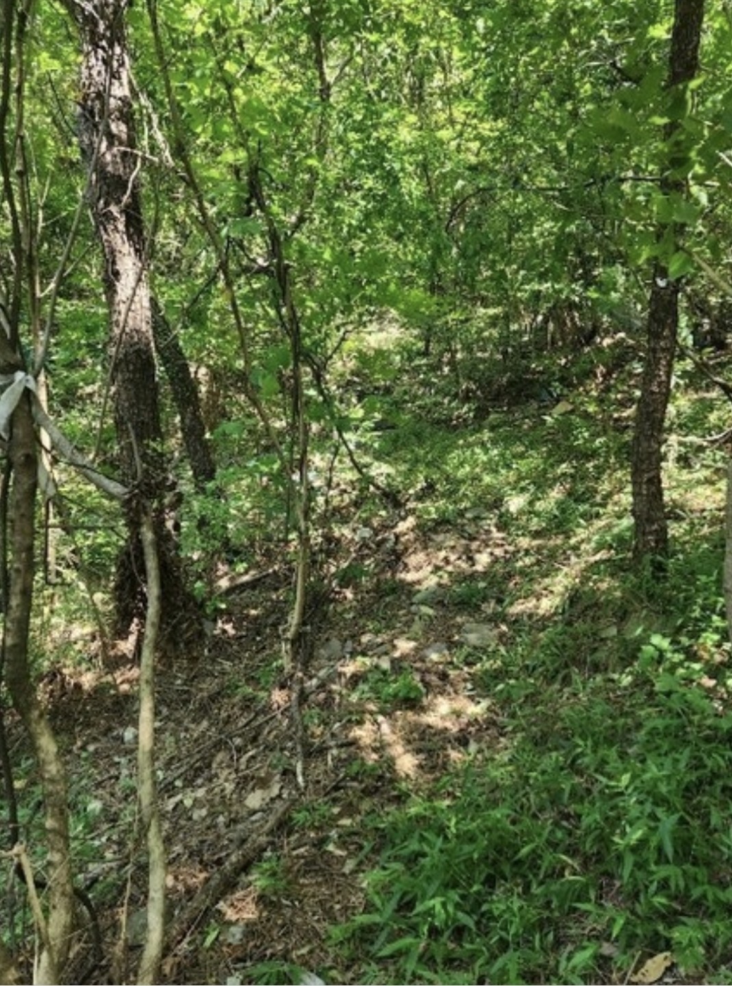 Post image 5