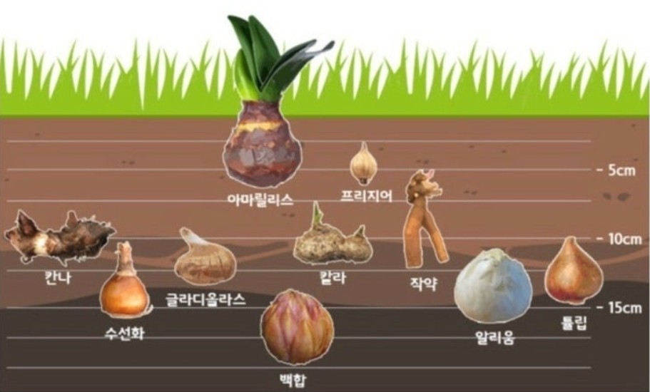Post image 42