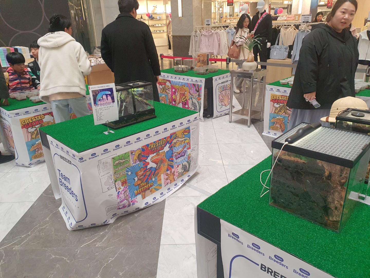 Post image 13
