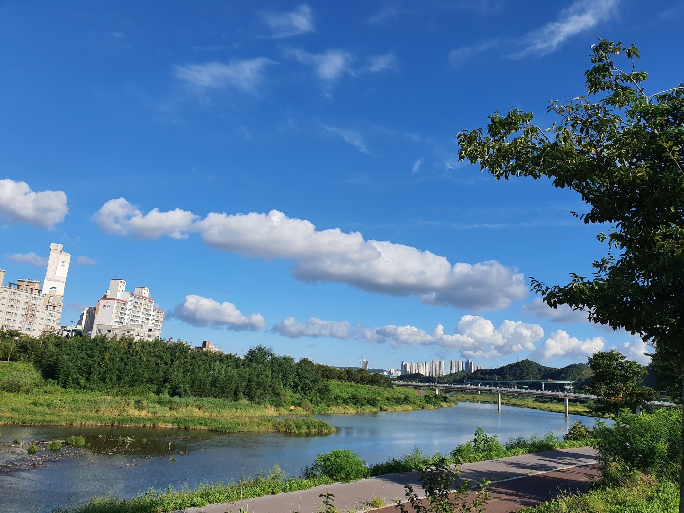 울주군 범서읍 구영리