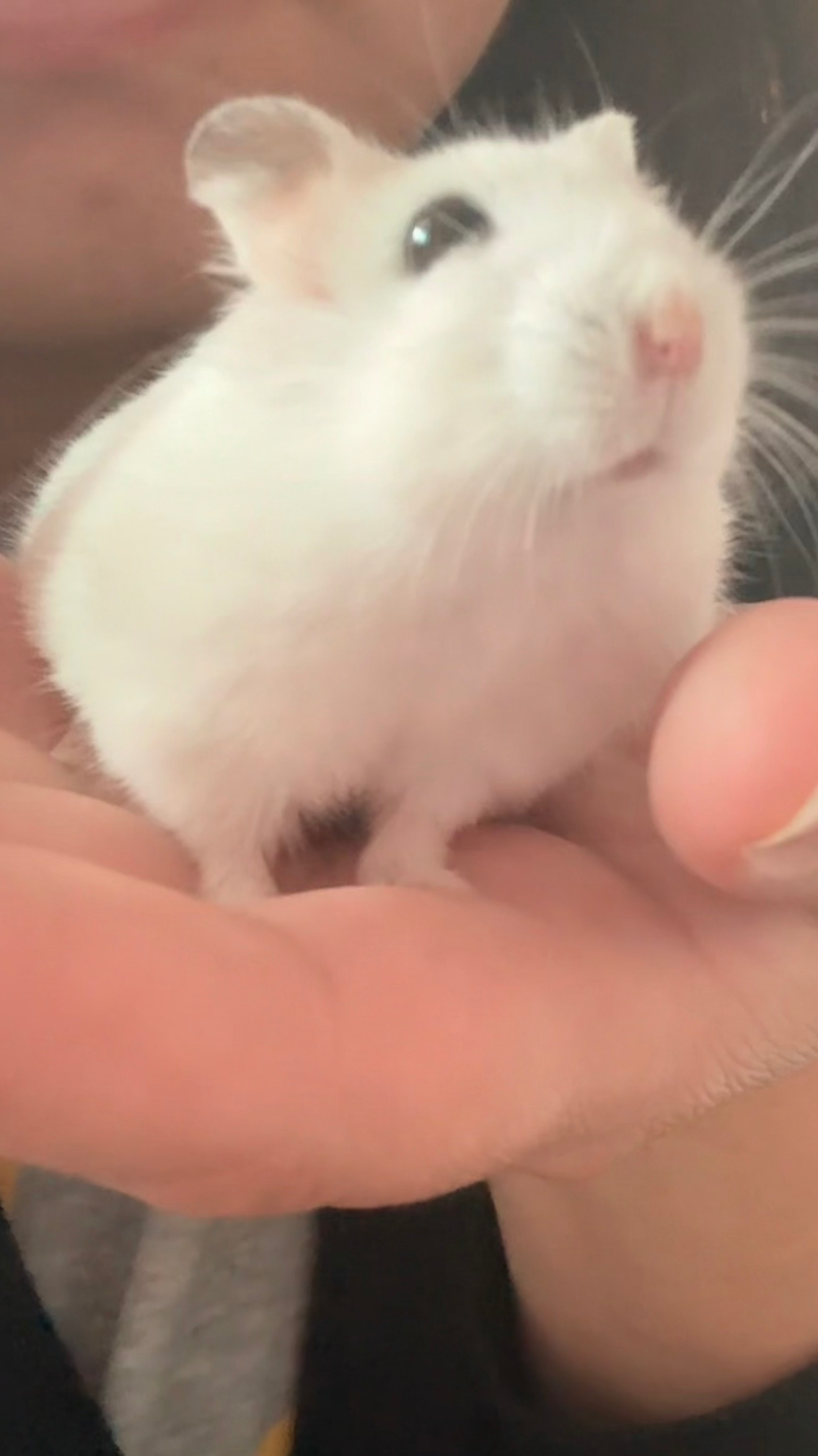 안녕하세요~ 봄이 왔습니다🌷