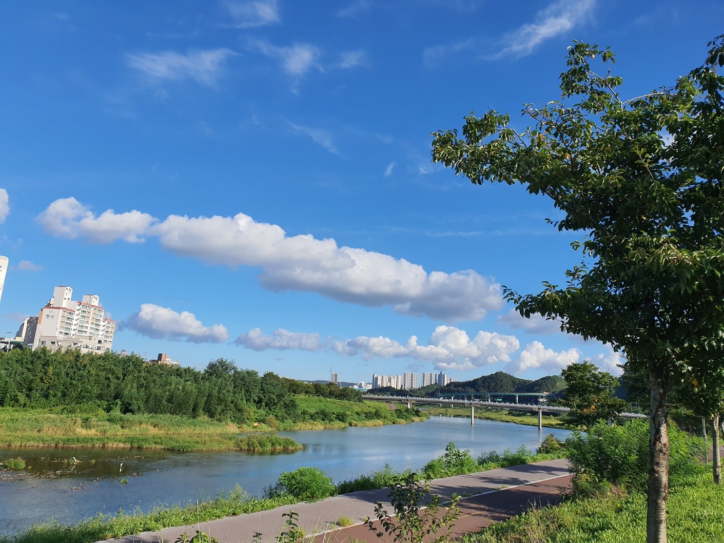 울주군 범서읍 구영리