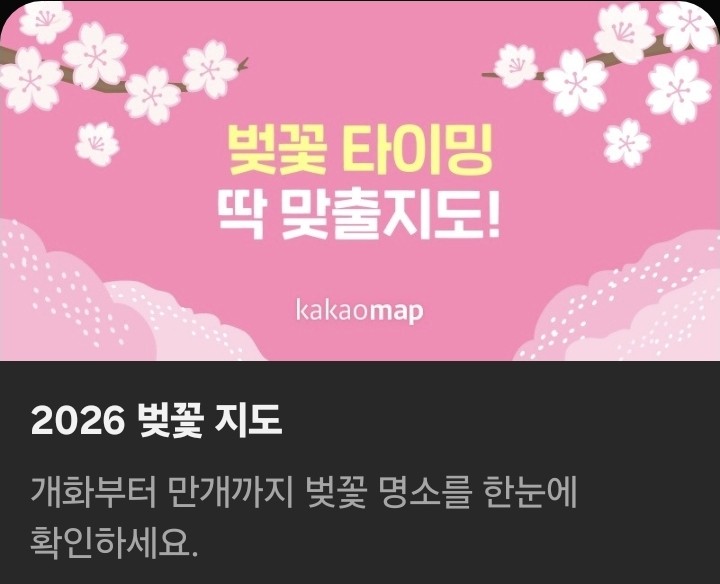 2026 벚꽃 개화 시기, 정확하게 확인하는 방법