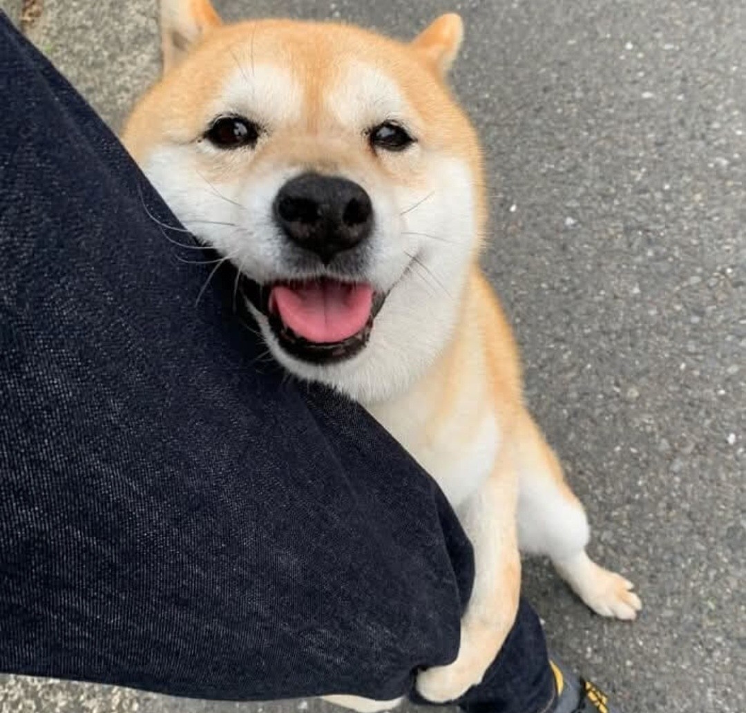 나도 데려가.jpg