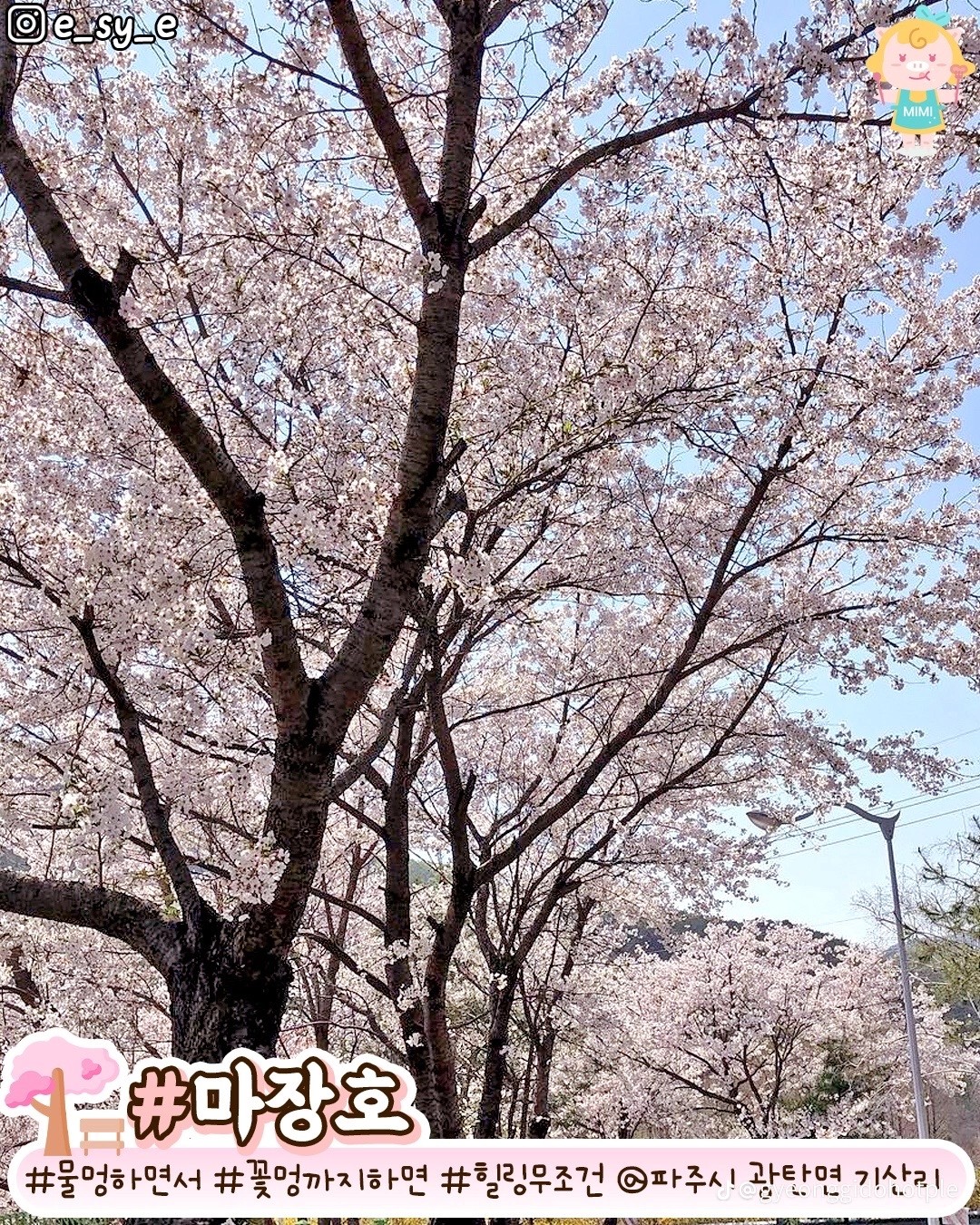 Post image 10