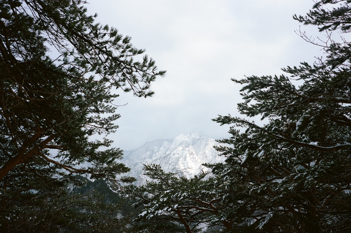 Post image 6