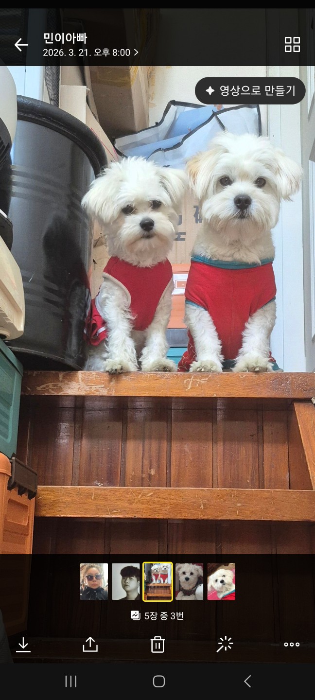 내새꾸셋이너무잘지냅이다