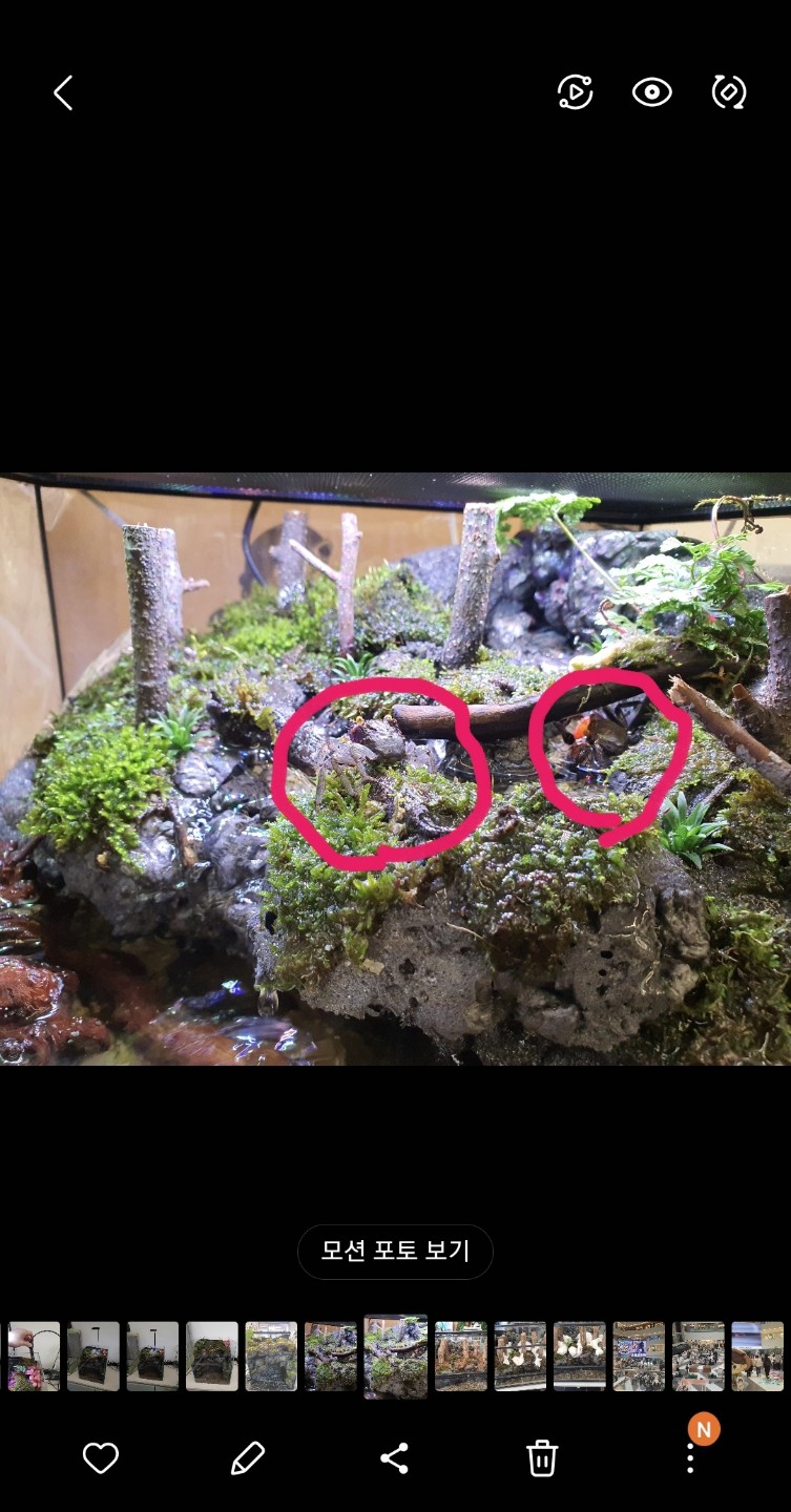 Post image 3