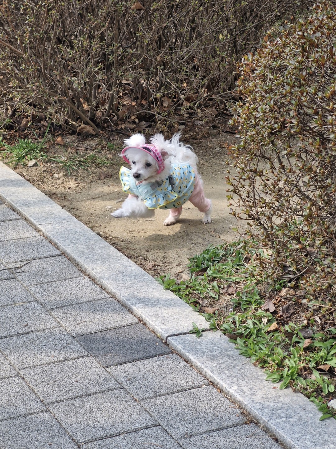 Post image 2