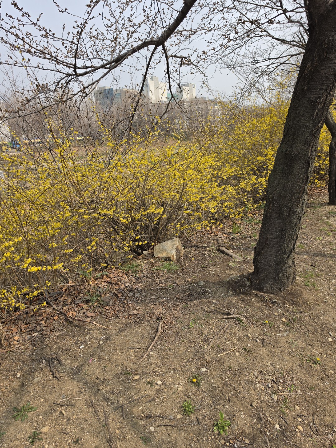 Post image 4