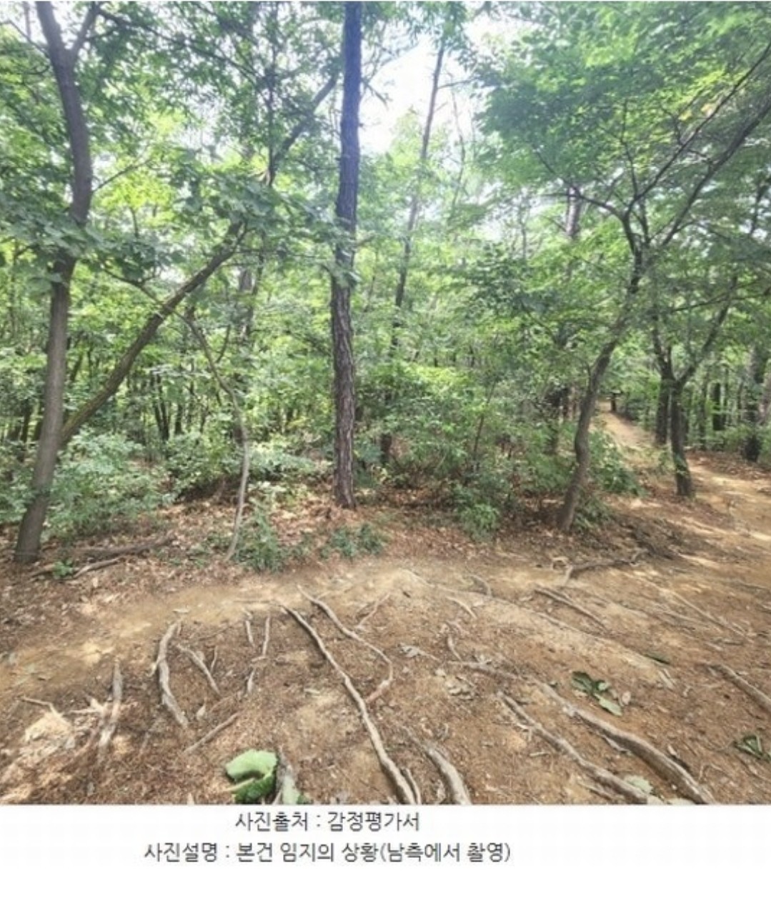 Post image 4