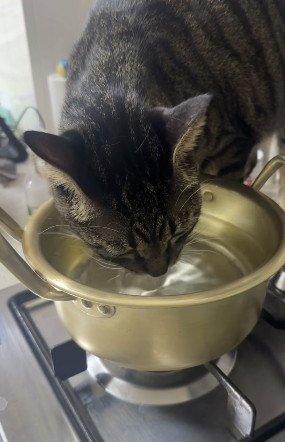 라면 끓이려고 물올렸는데..