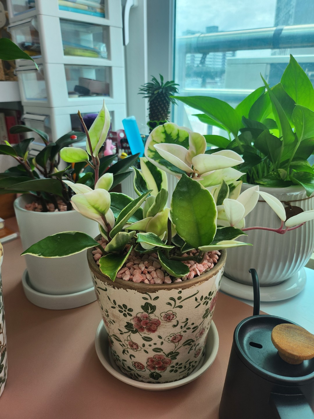 Post image 13