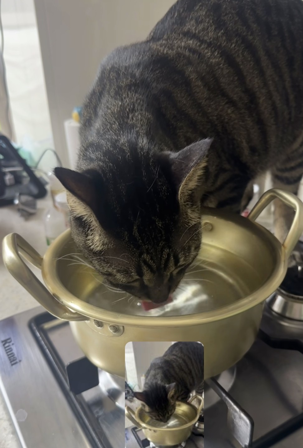 라면 끓이려고 물올렸는데..