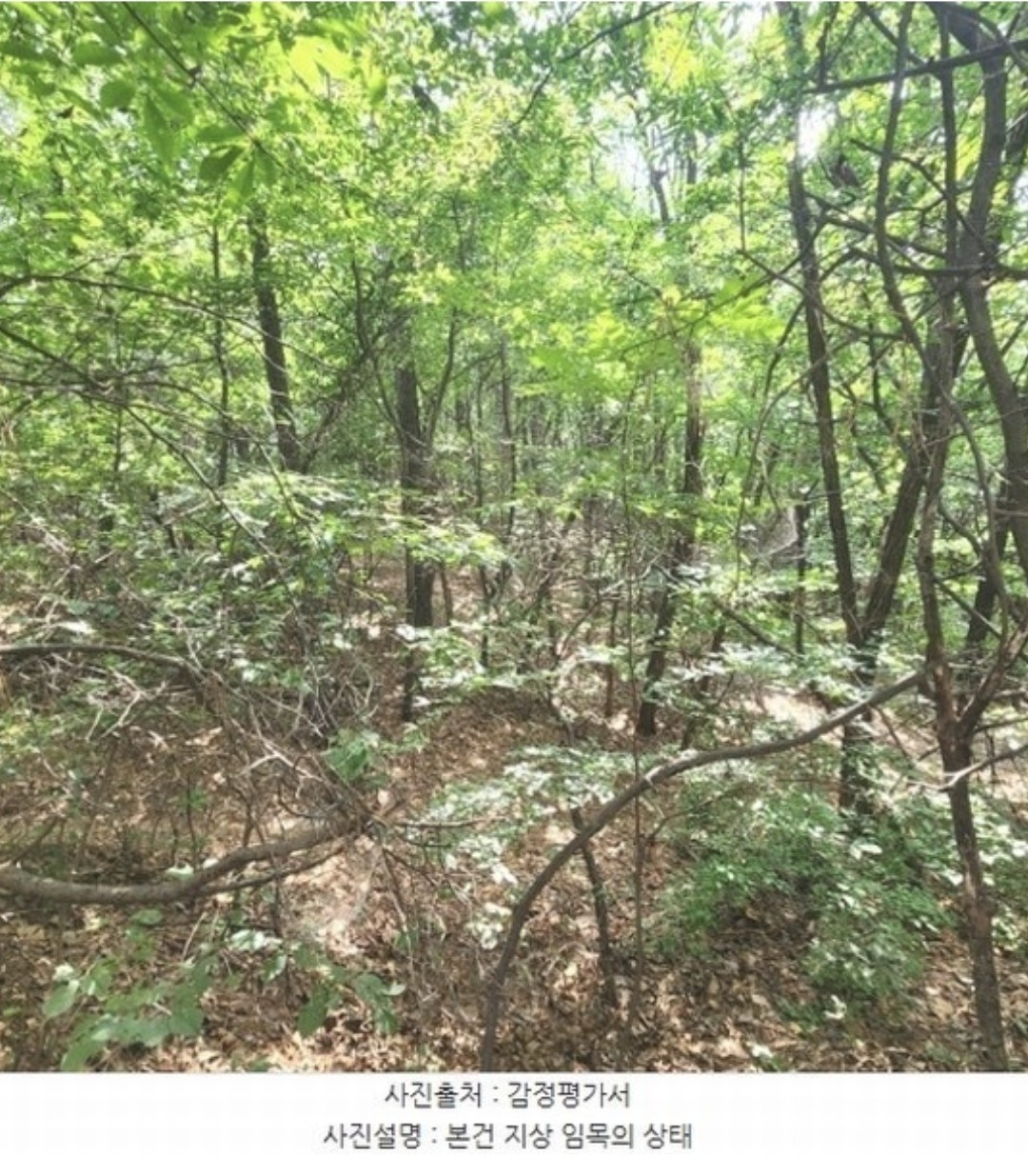 Post image 9