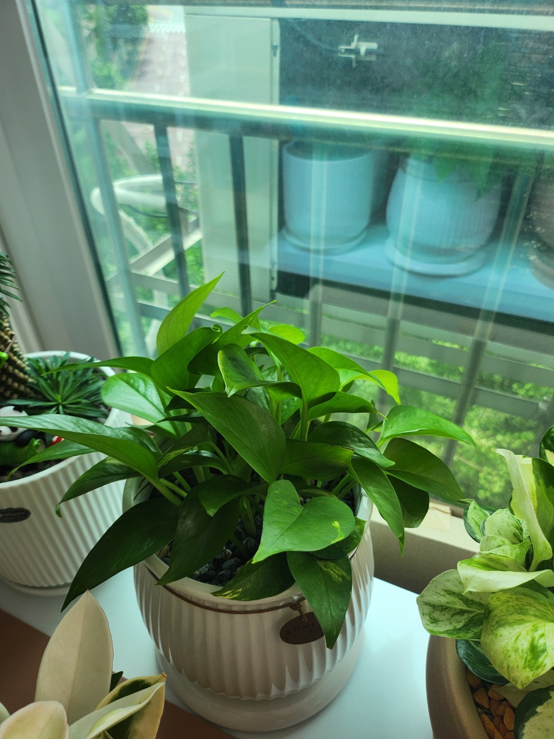 Post image 9