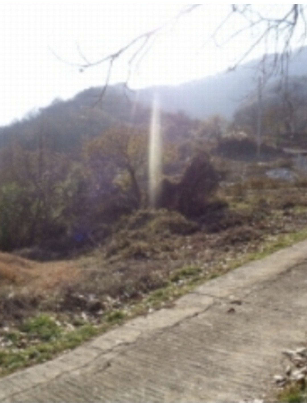 Post image 7
