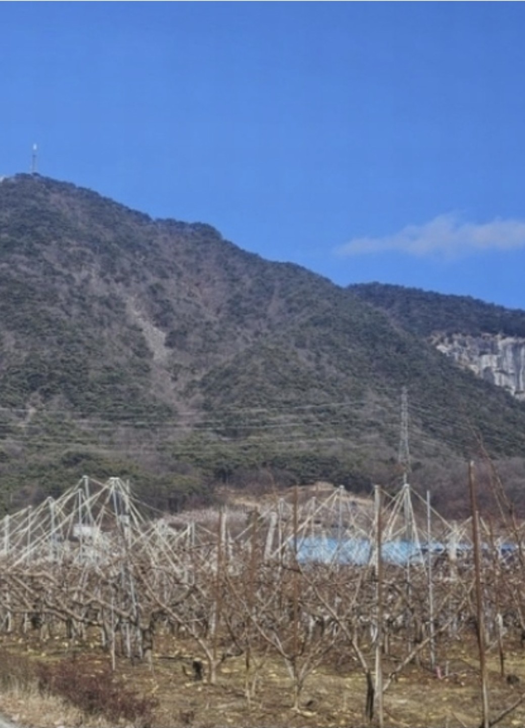 Post image 8