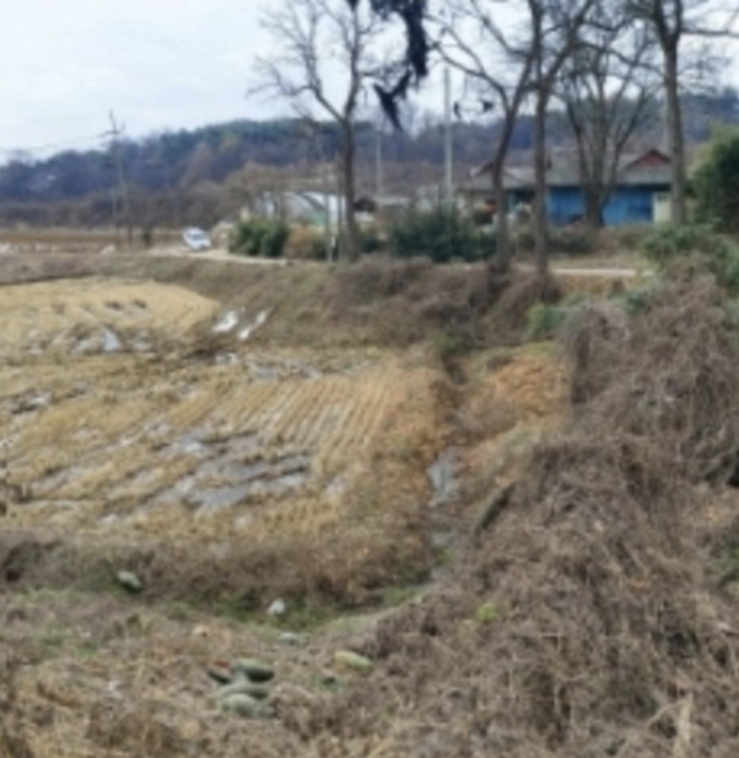 Post image 13