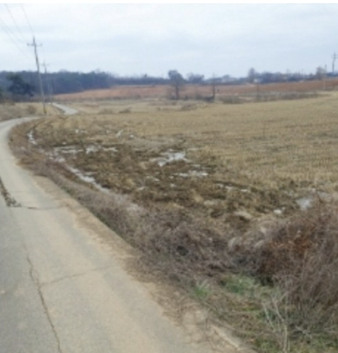 Post image 12