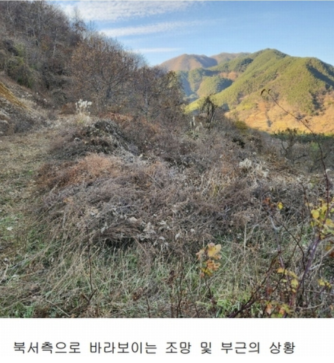 Post image 9