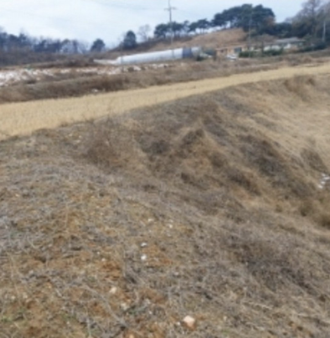 Post image 14