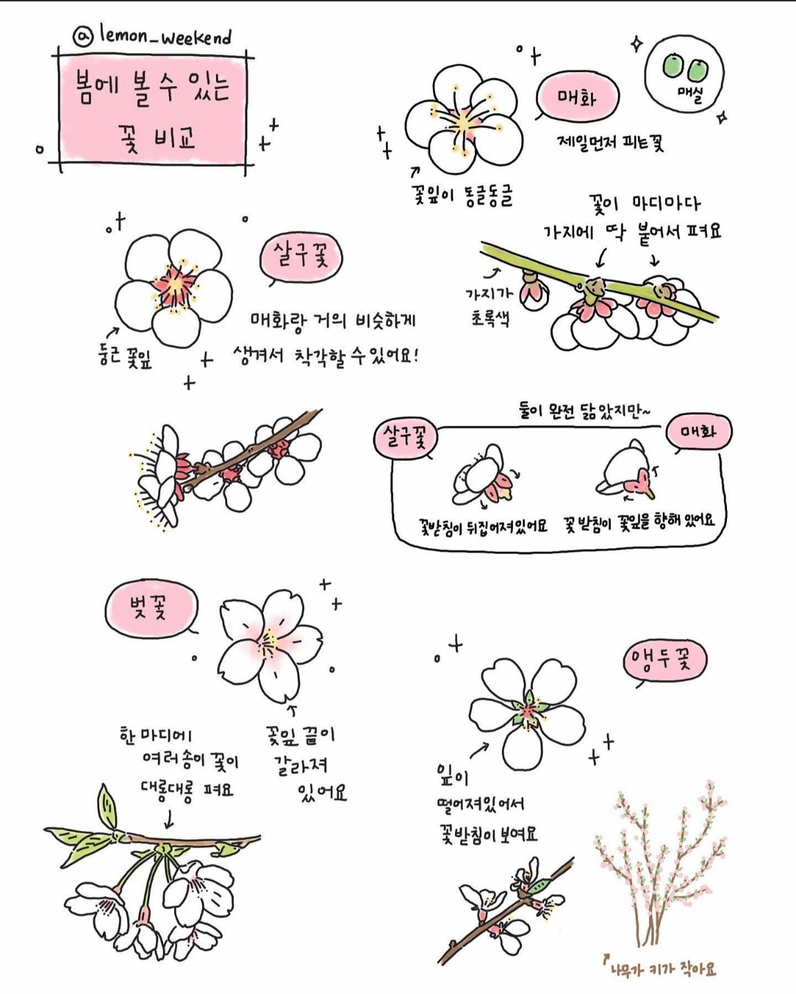 Post image 4