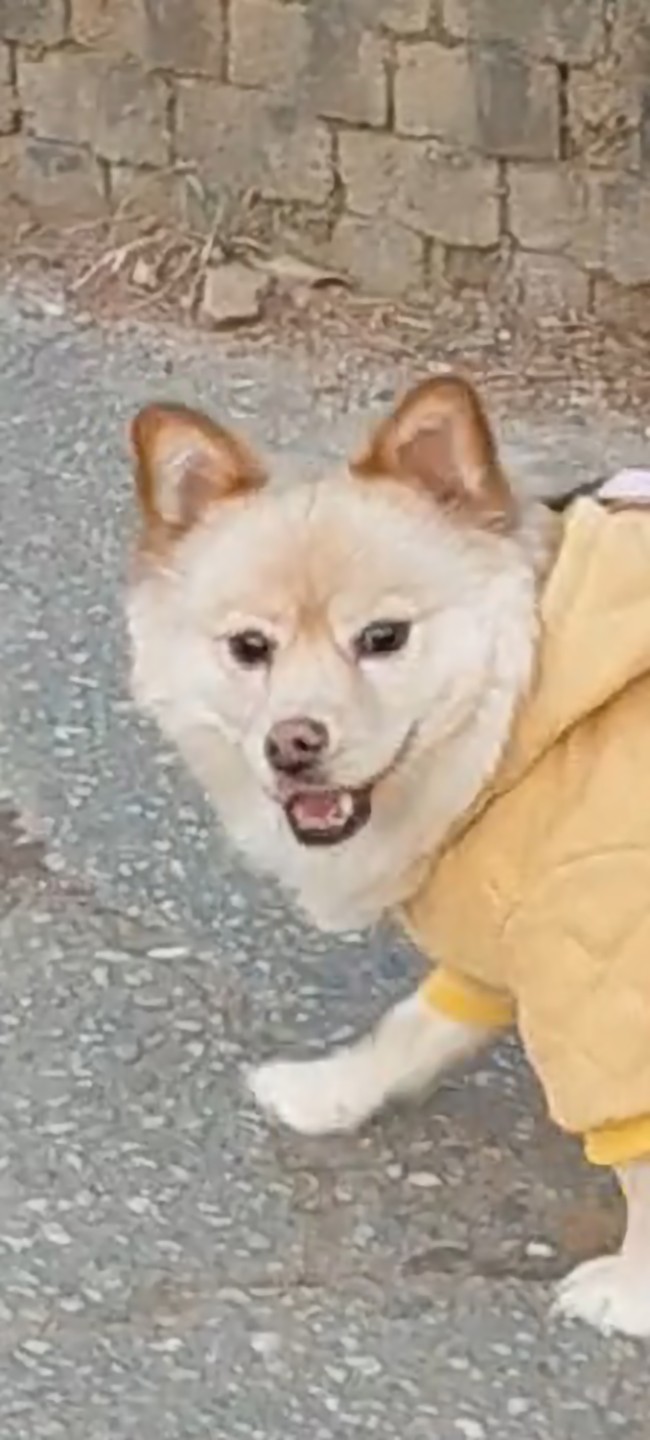 내새키와 건강한 하루하루 보내는방법😙