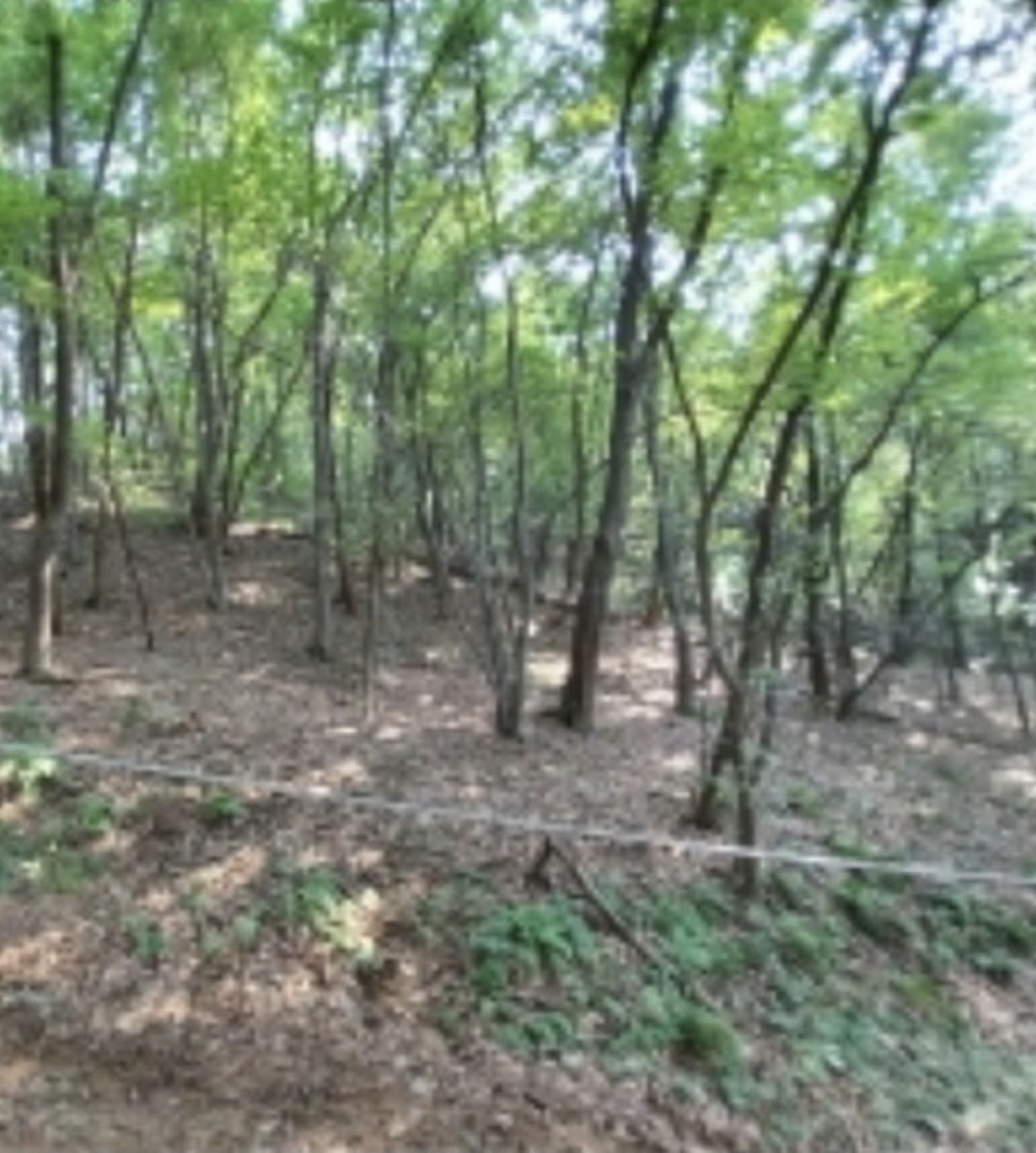 Post image 7