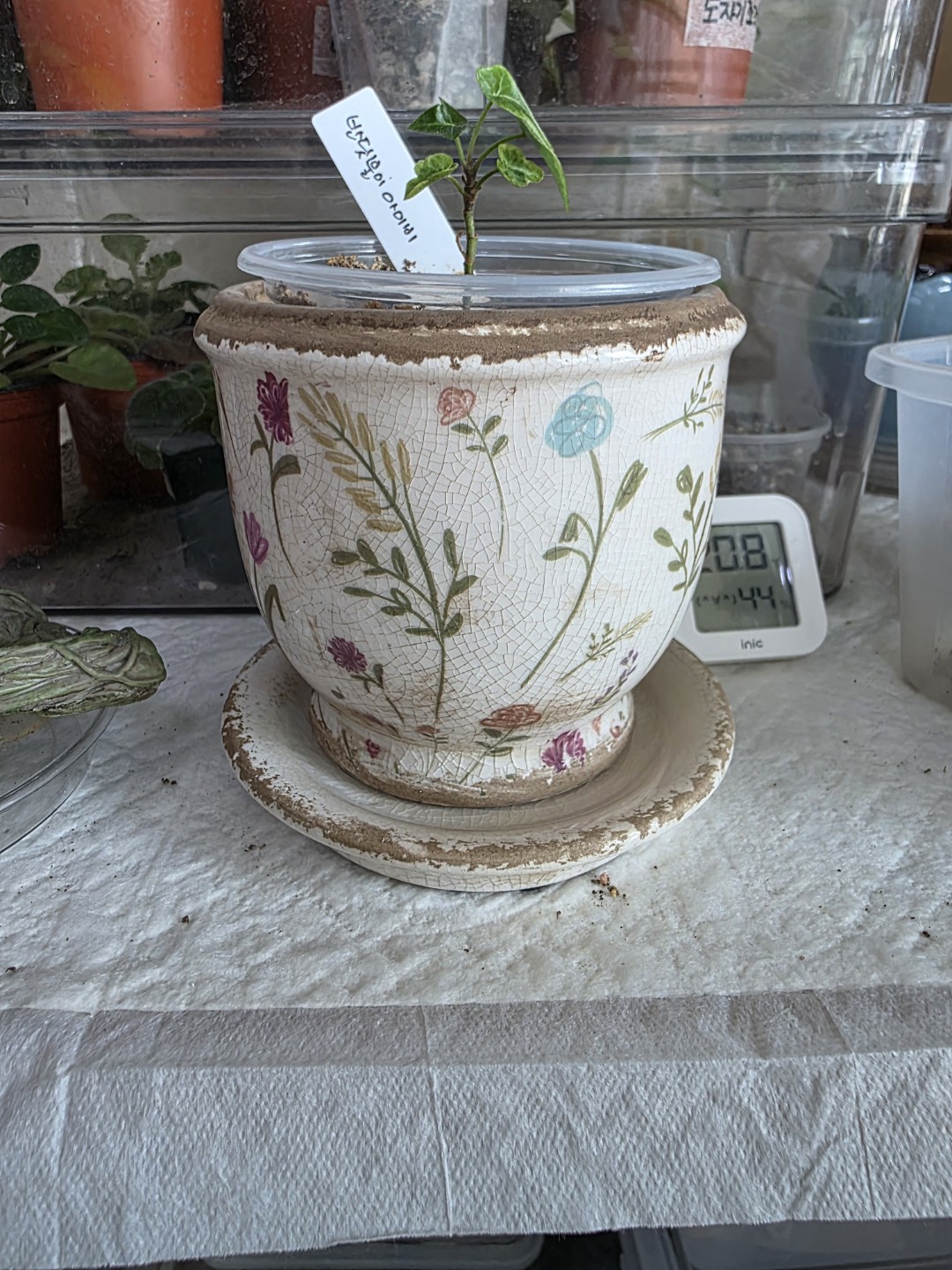 Post image 6