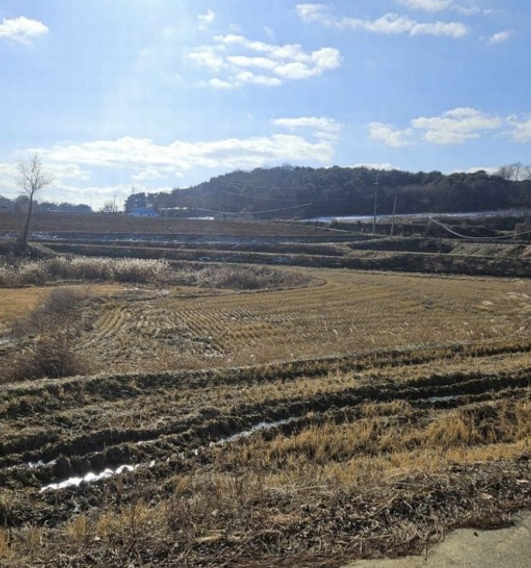 Post image 5
