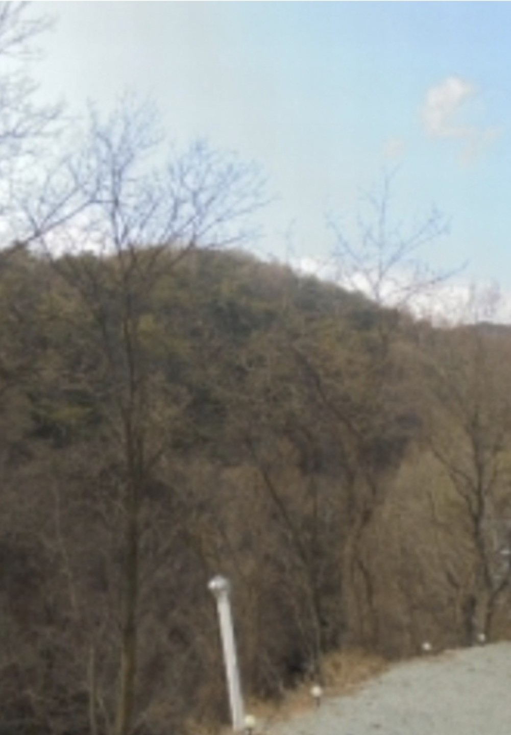 Post image 7
